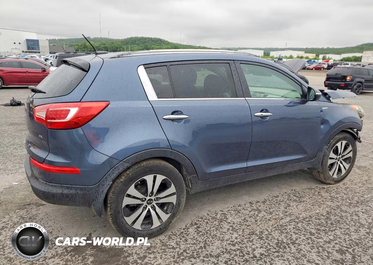 2013 Kia Sportage Ex VIN:KNDPCCA29D7539561 - 3