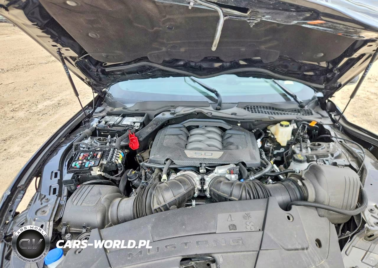 2025 Ford Mustang Gt VIN:1FA6P8CF7S5410147 - 11