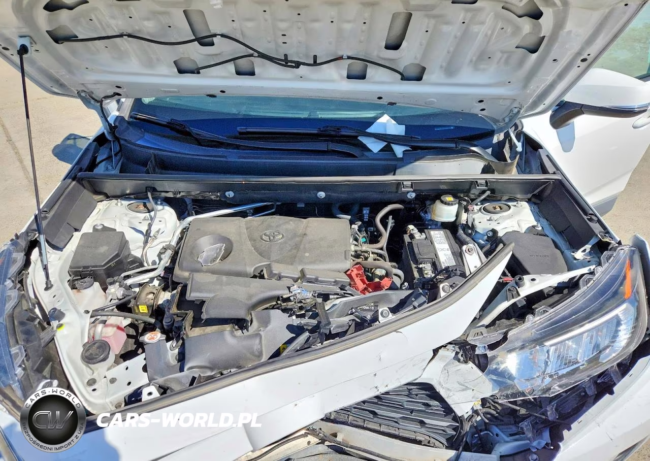 2019 Toyota Rav4 Xle VIN:2T3W1RFV7KC008112 - 11