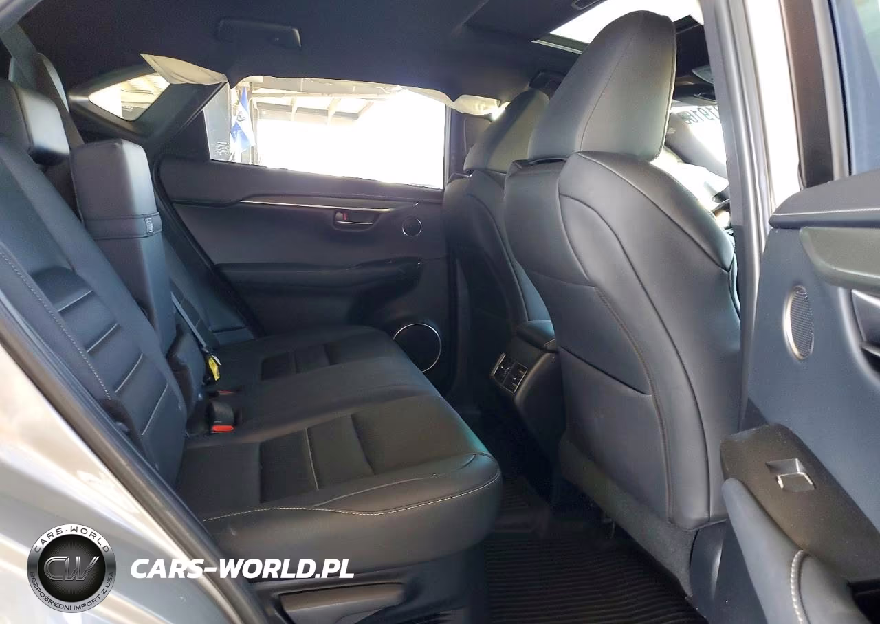 2020 Lexus Nx 300 F Sport VIN:JTJSARDZ2L2232737 - 10
