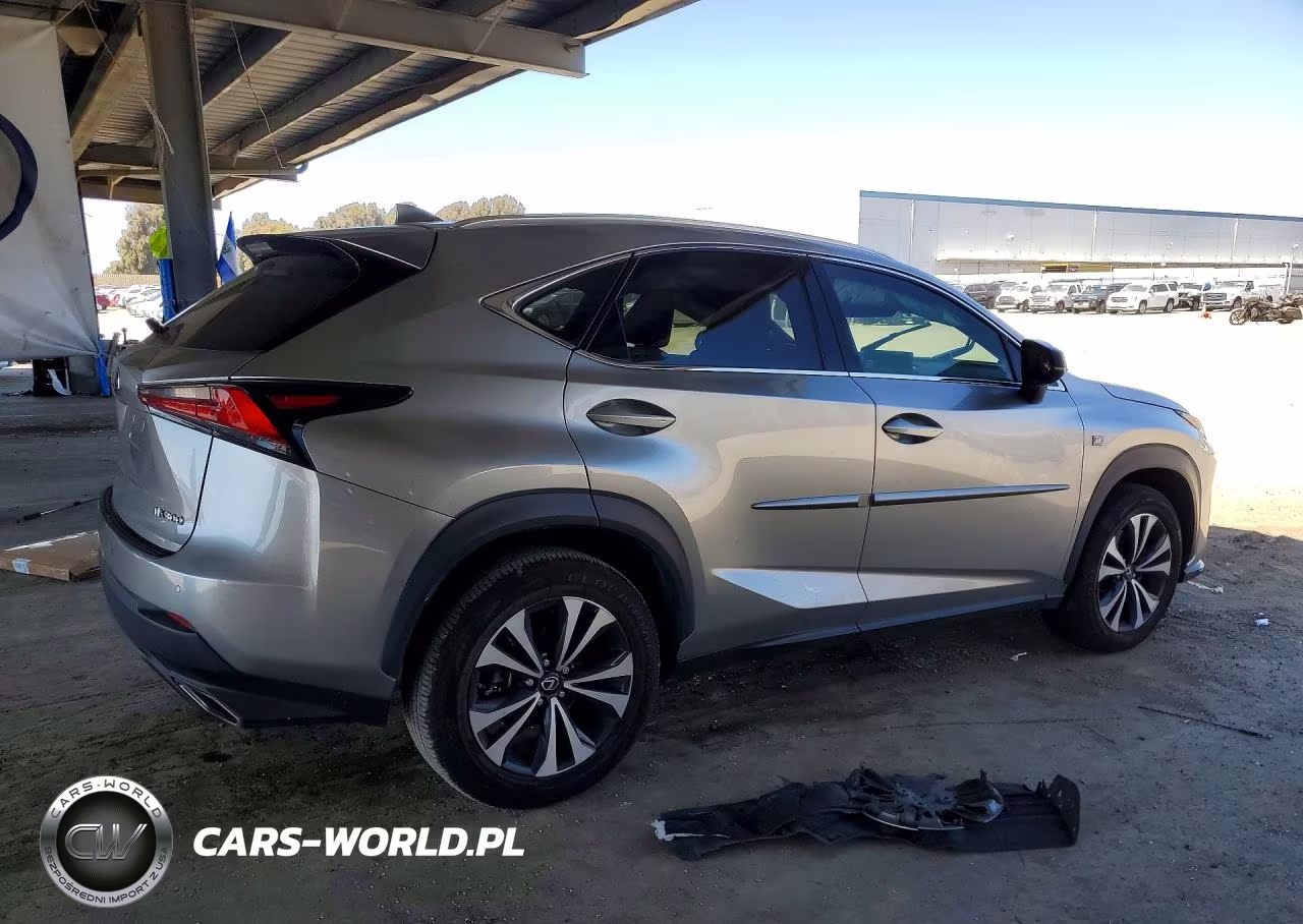 2020 Lexus Nx 300 F Sport VIN:JTJSARDZ2L2232737 - 3
