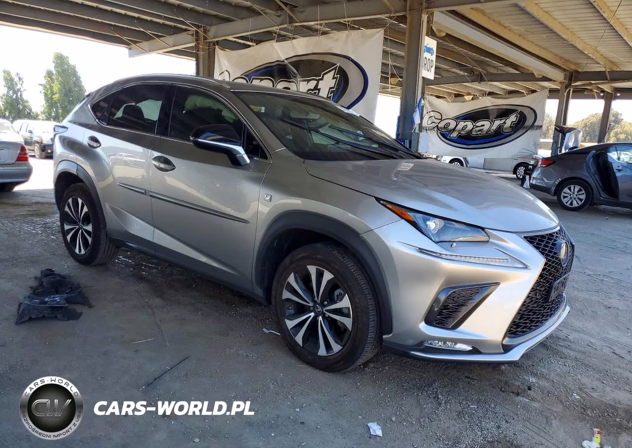 2020 Lexus Nx 300 F Sport VIN:JTJSARDZ2L2232737 - 4