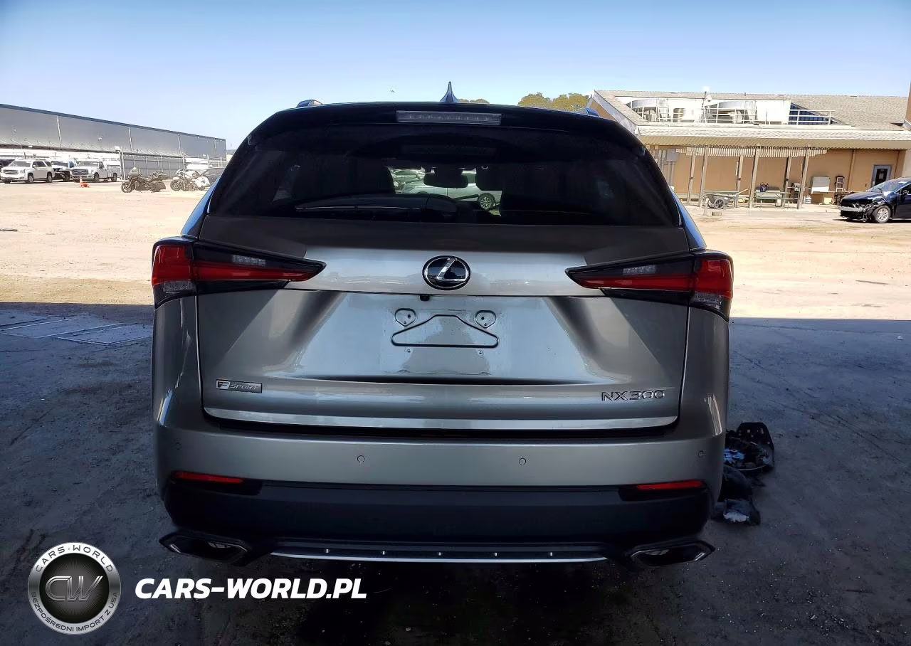 2020 Lexus Nx 300 F Sport VIN:JTJSARDZ2L2232737 - 6