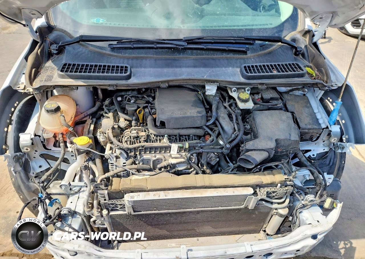 2019 Ford Escape Se VIN:1FMCU0GD6KUB26428 - 12