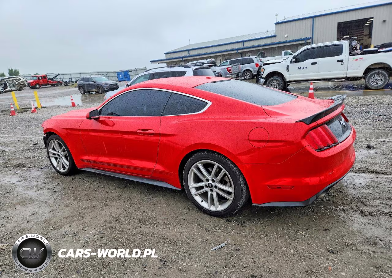 2017 Ford Mustang VIN:1FA6P8TH2H5249720 - 2