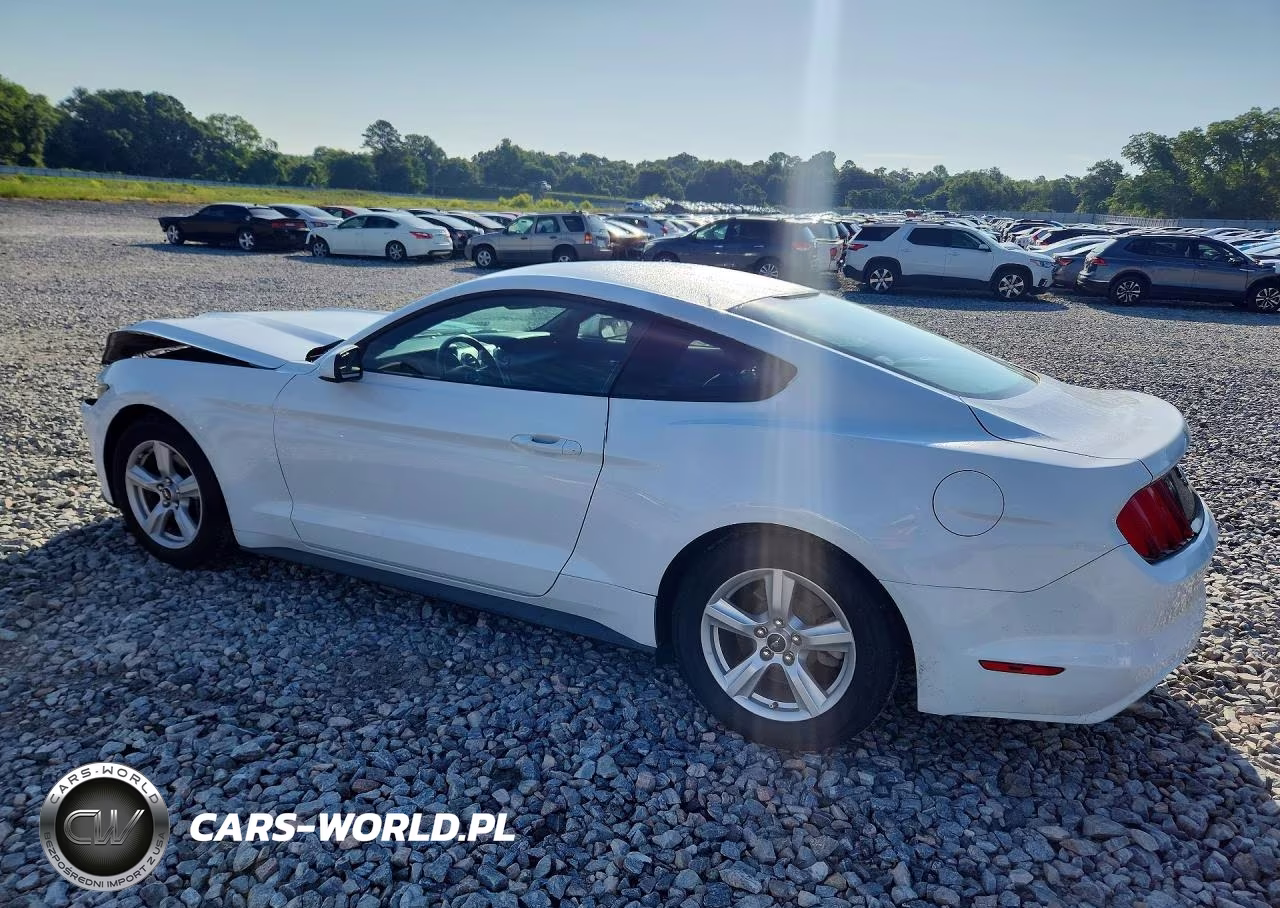 2016 Ford Mustang VIN:1FA6P8AMXG5223879 - 2