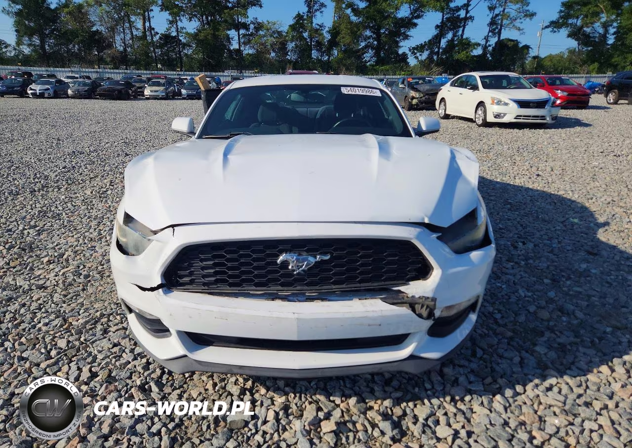 2016 Ford Mustang VIN:1FA6P8AMXG5223879 - 5