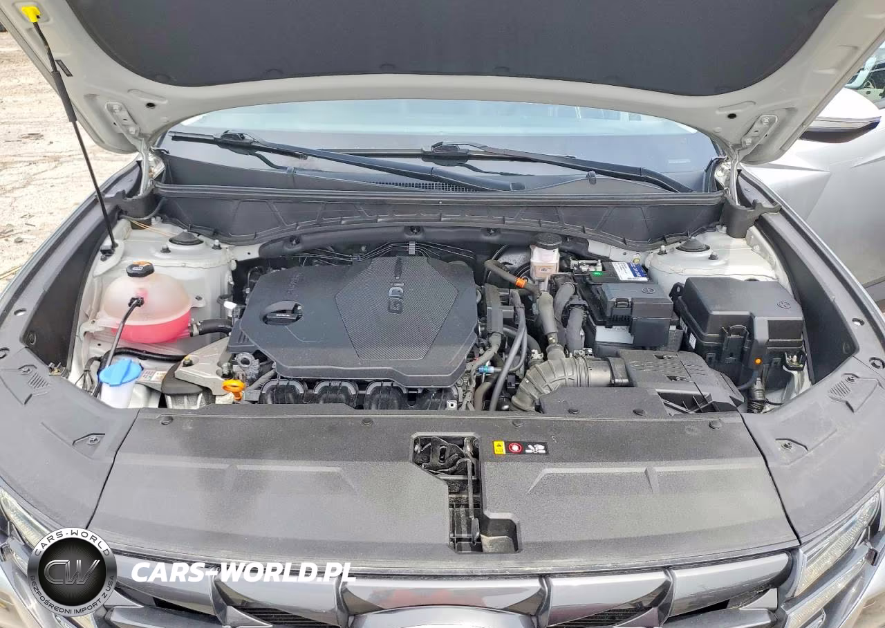 2023 Hyundai Tucson Sel VIN:5NMJFCAE2PH239834 - 12