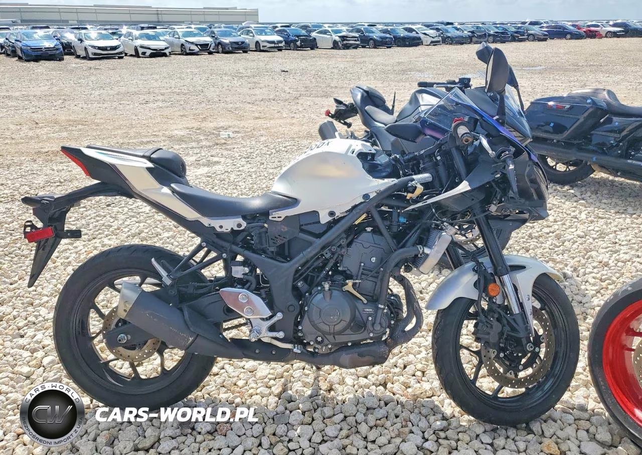 2025 Yamaha Yfz320 A