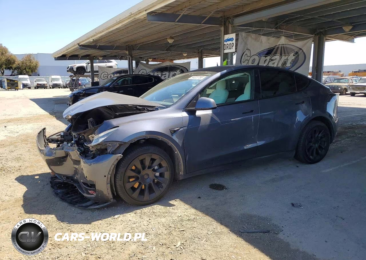 2020 Tesla Model Y