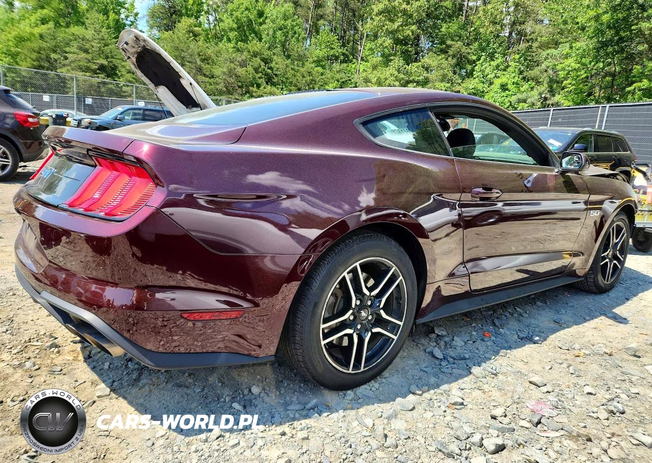 2018 Ford Mustang Gt VIN:1FA6P8CF7J5183704 - 3