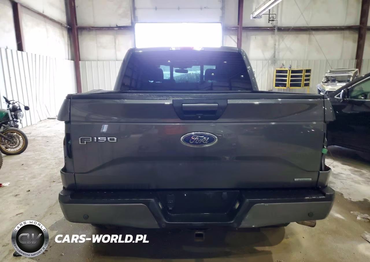 2017 Ford F150 Supercrew VIN:1FTEW1EG3HFA74053 - 6