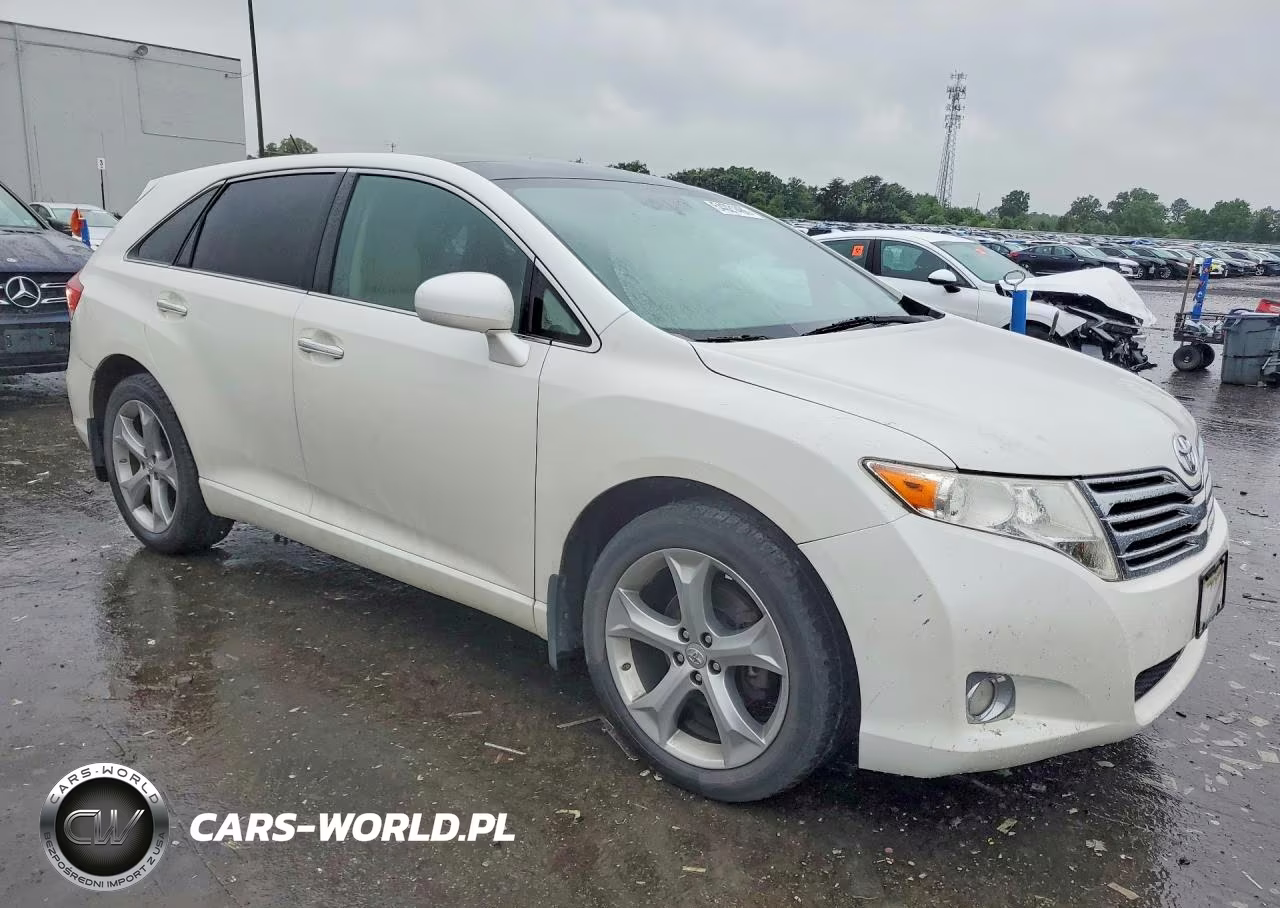 2009 Toyota Venza Awd V6 VIN:4T3BK11A49U017599 - 4