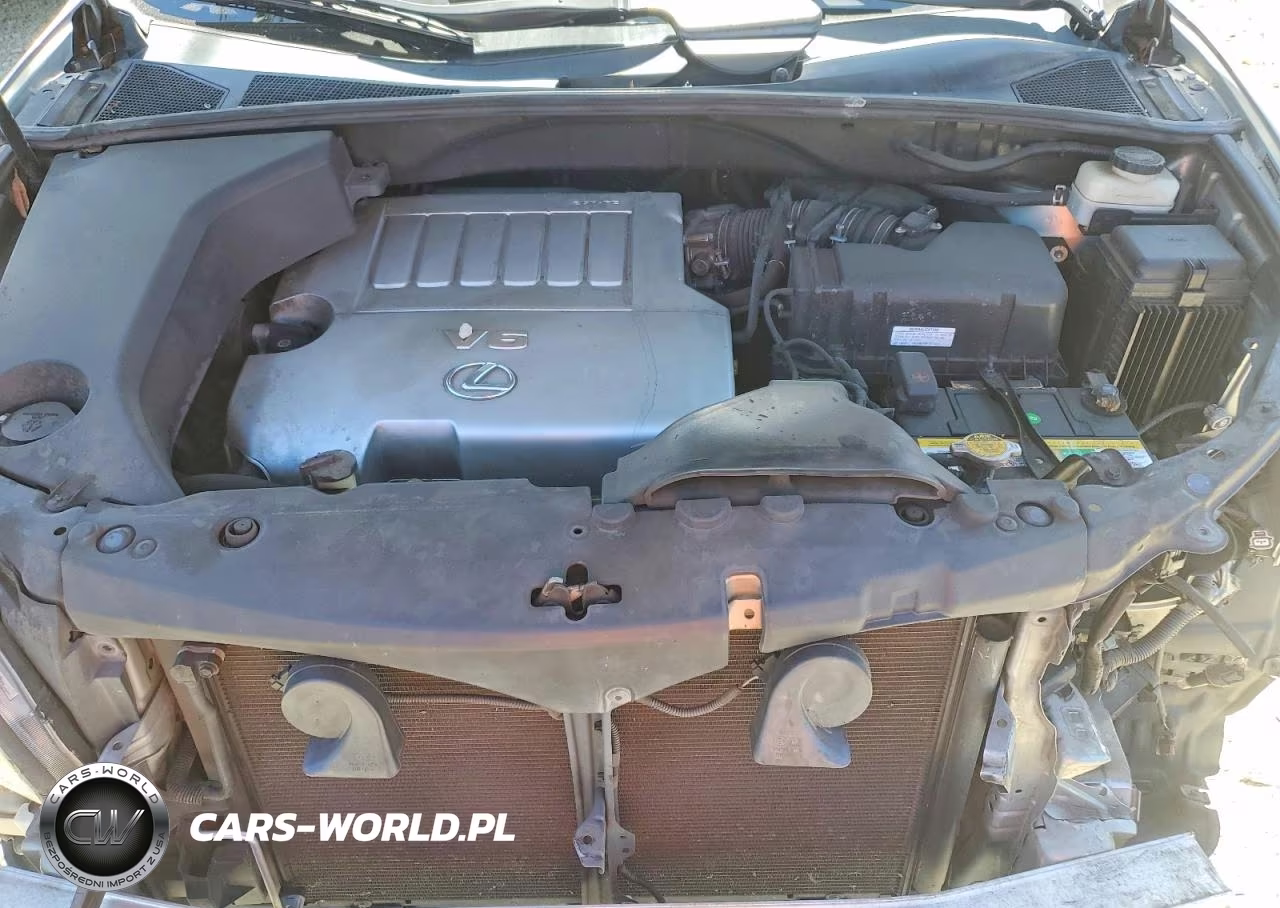 2009 Lexus Rx 350 VIN:2T2GK31U99C060014 - 12