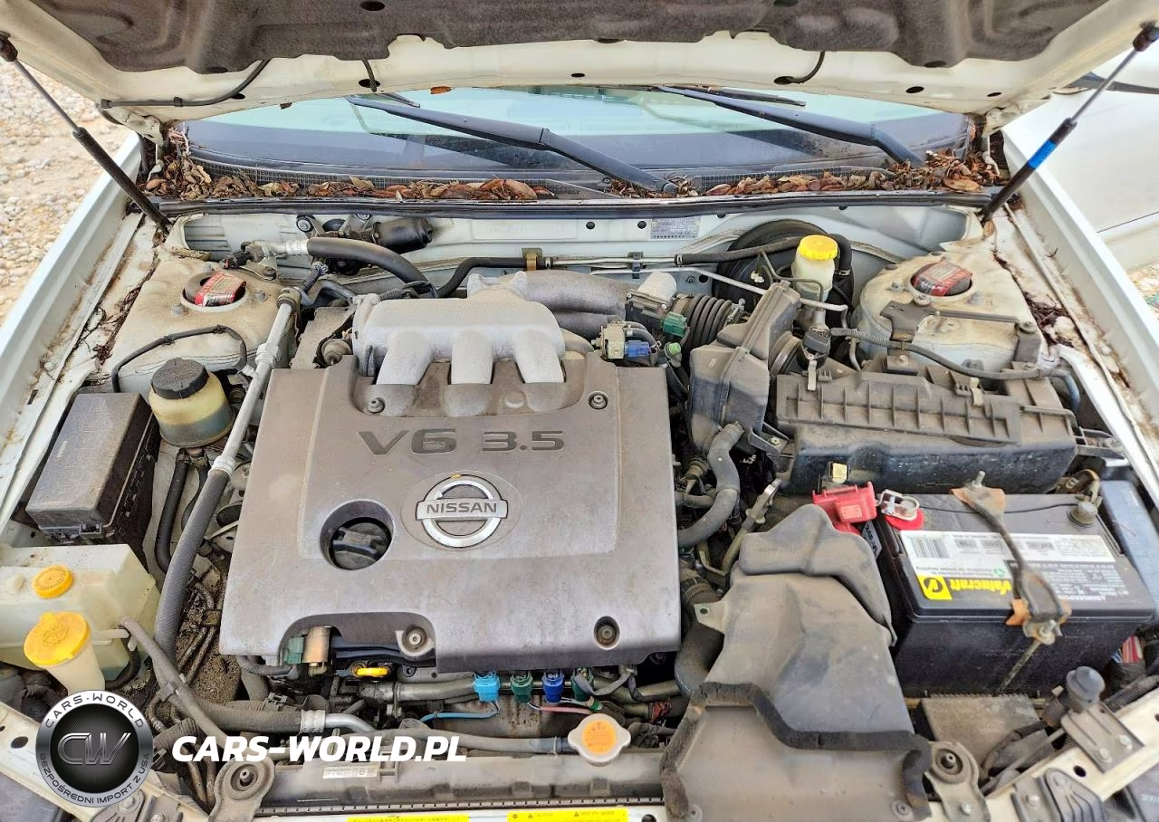 2003 Nissan Maxima Gxe VIN:JN1DA31A13T439768 - 11