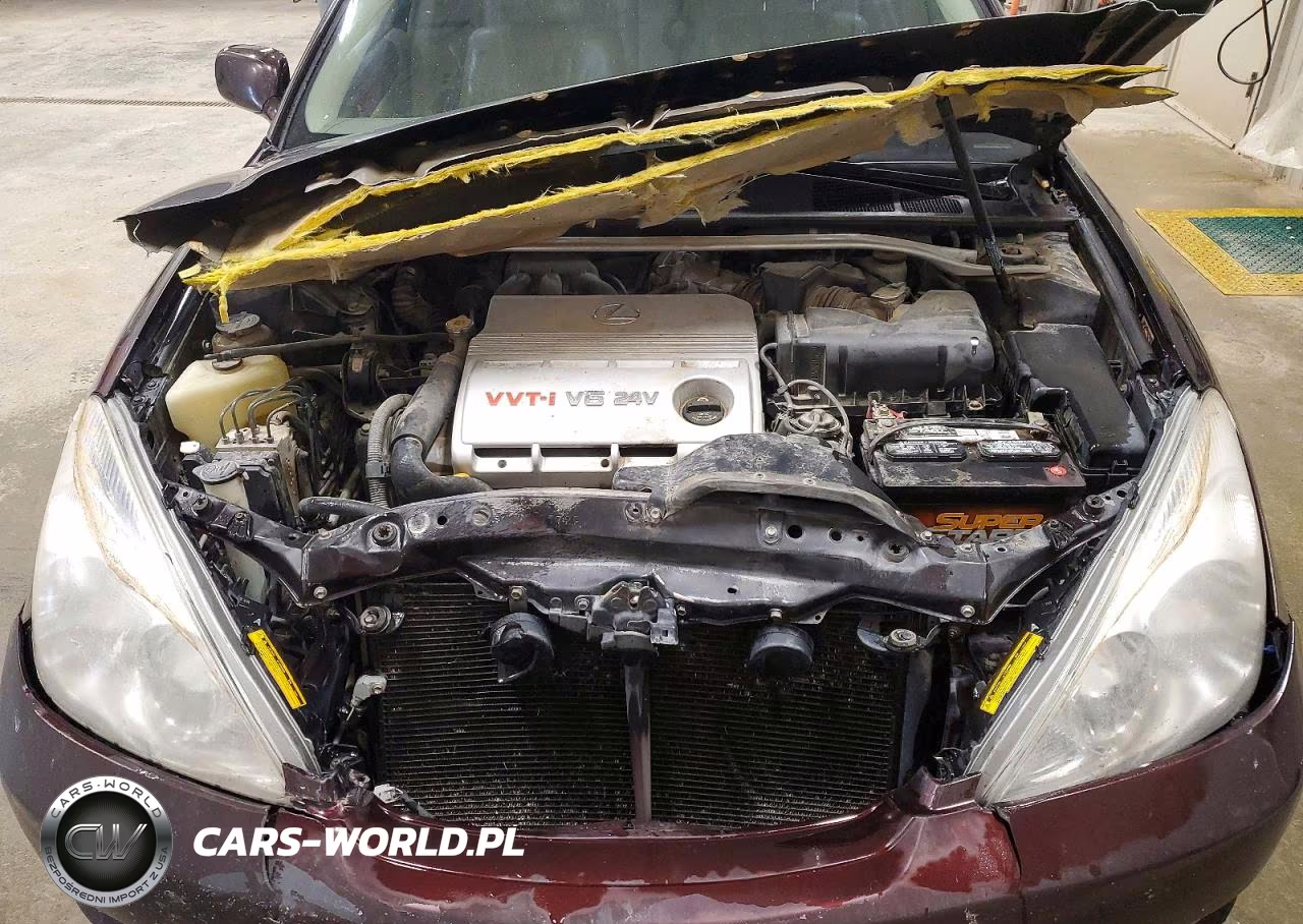 2003 Lexus Es 300 VIN:JTHBF30G330107312 - 11
