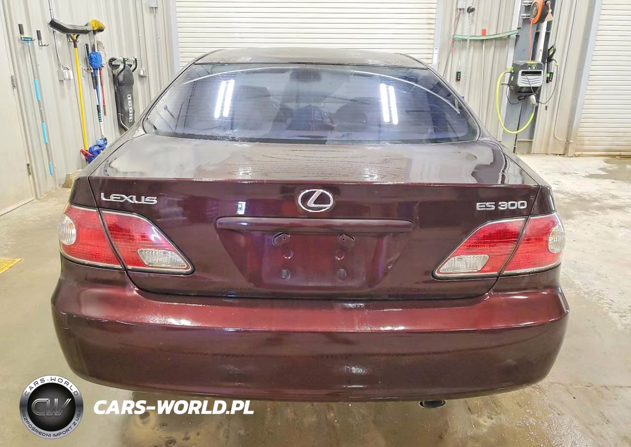 2003 Lexus Es 300 VIN:JTHBF30G330107312 - 6