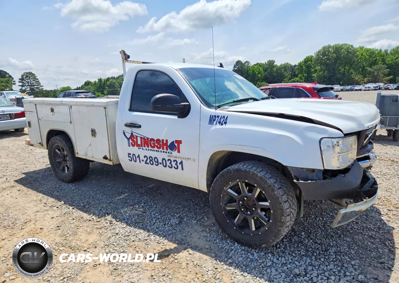 2009 GMC Sierra C1500 VIN:1GTEC14J29Z134197 - 4