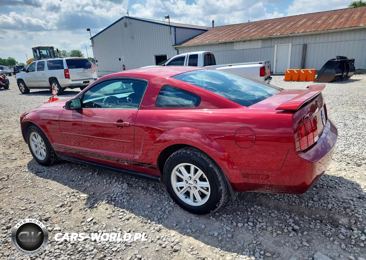 2005 Ford Mustang VIN:1ZVFT80N455177881 - 2