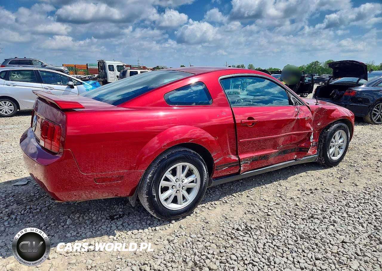 2005 Ford Mustang VIN:1ZVFT80N455177881 - 3