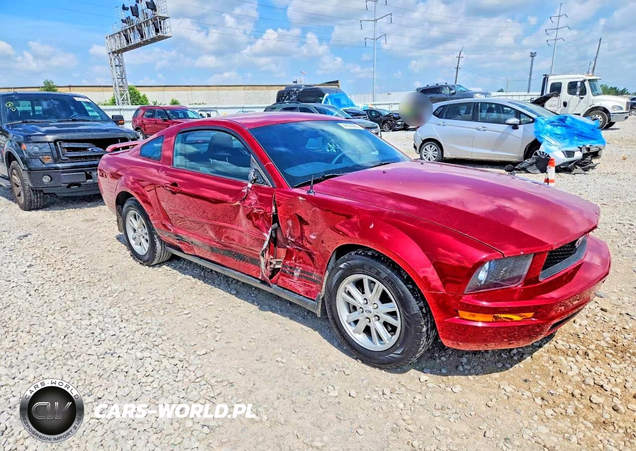 2005 Ford Mustang VIN:1ZVFT80N455177881 - 4