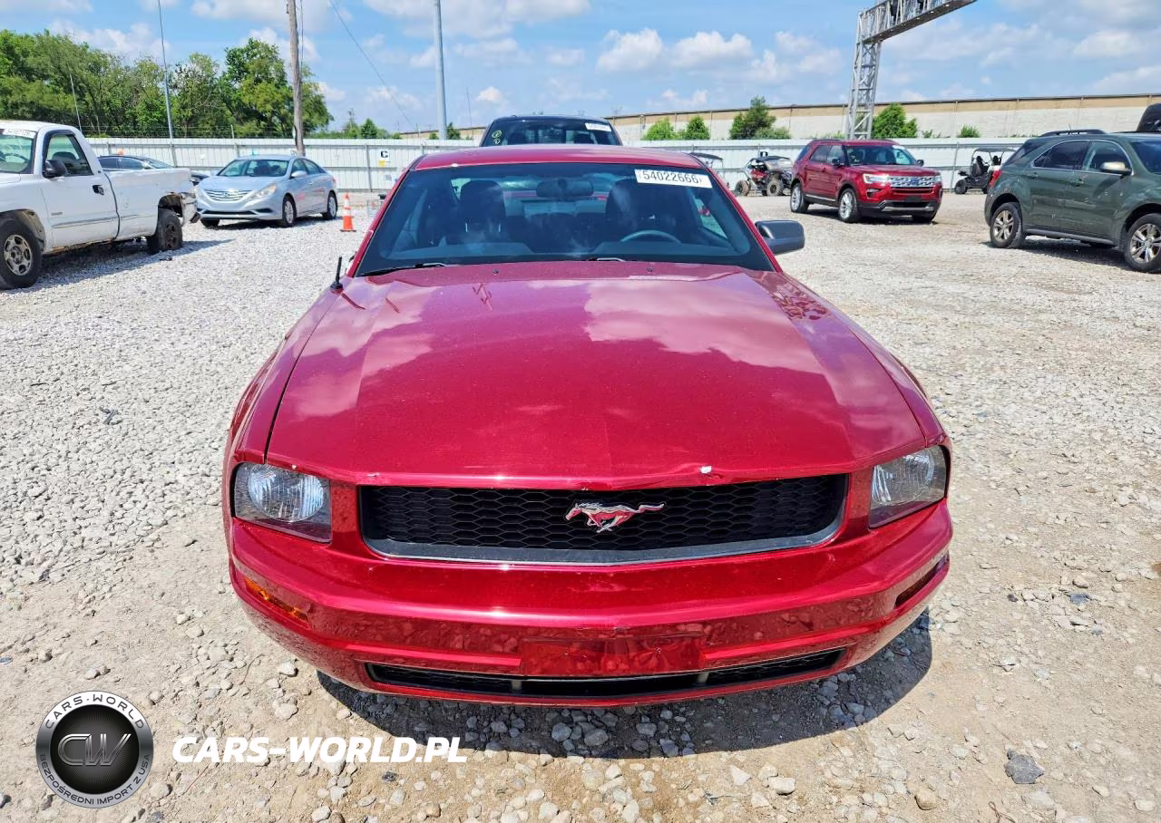 2005 Ford Mustang VIN:1ZVFT80N455177881 - 5