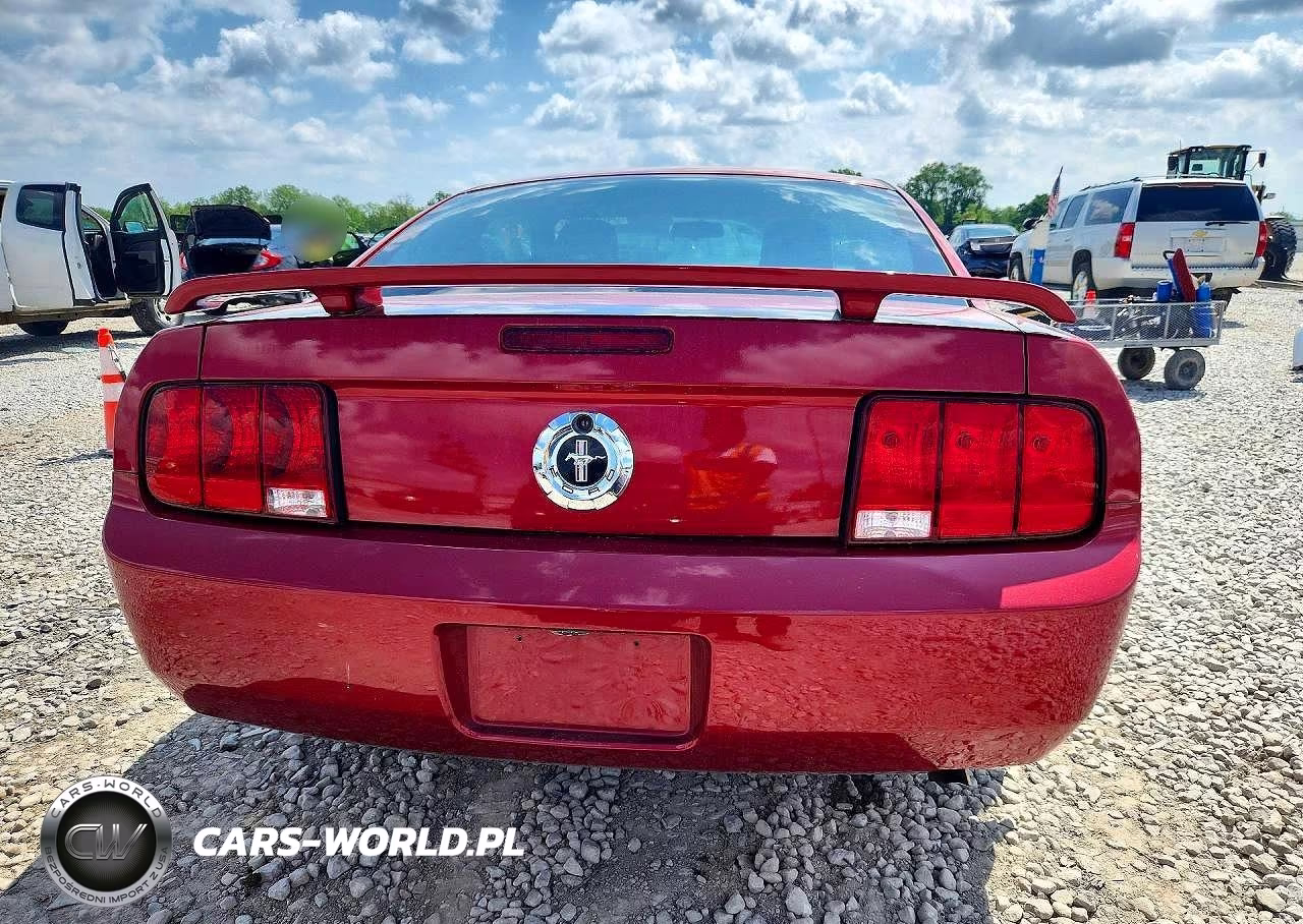 2005 Ford Mustang VIN:1ZVFT80N455177881 - 6