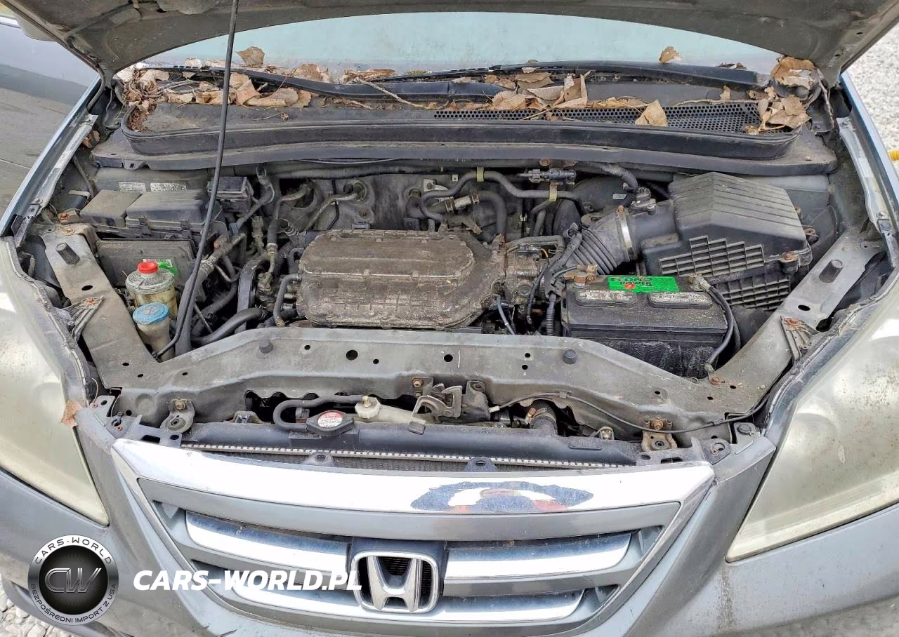 2007 Honda Odyssey Ex VIN:5FNRL38457B429184 - 12