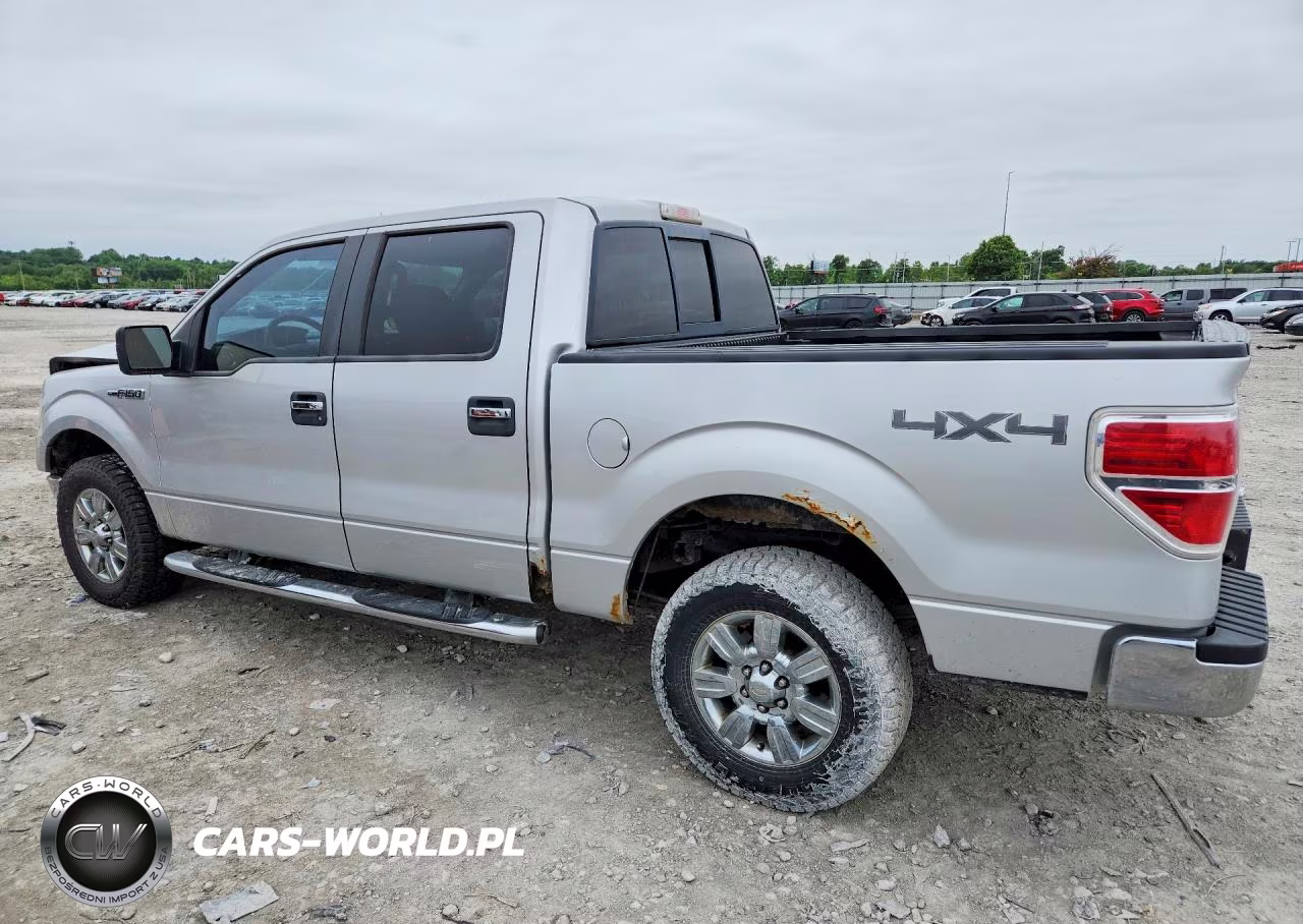2009 Ford F150 Supercrew VIN:1FTPW14V19FB05911 - 2
