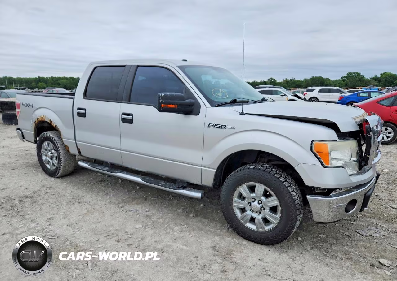 2009 Ford F150 Supercrew VIN:1FTPW14V19FB05911 - 4