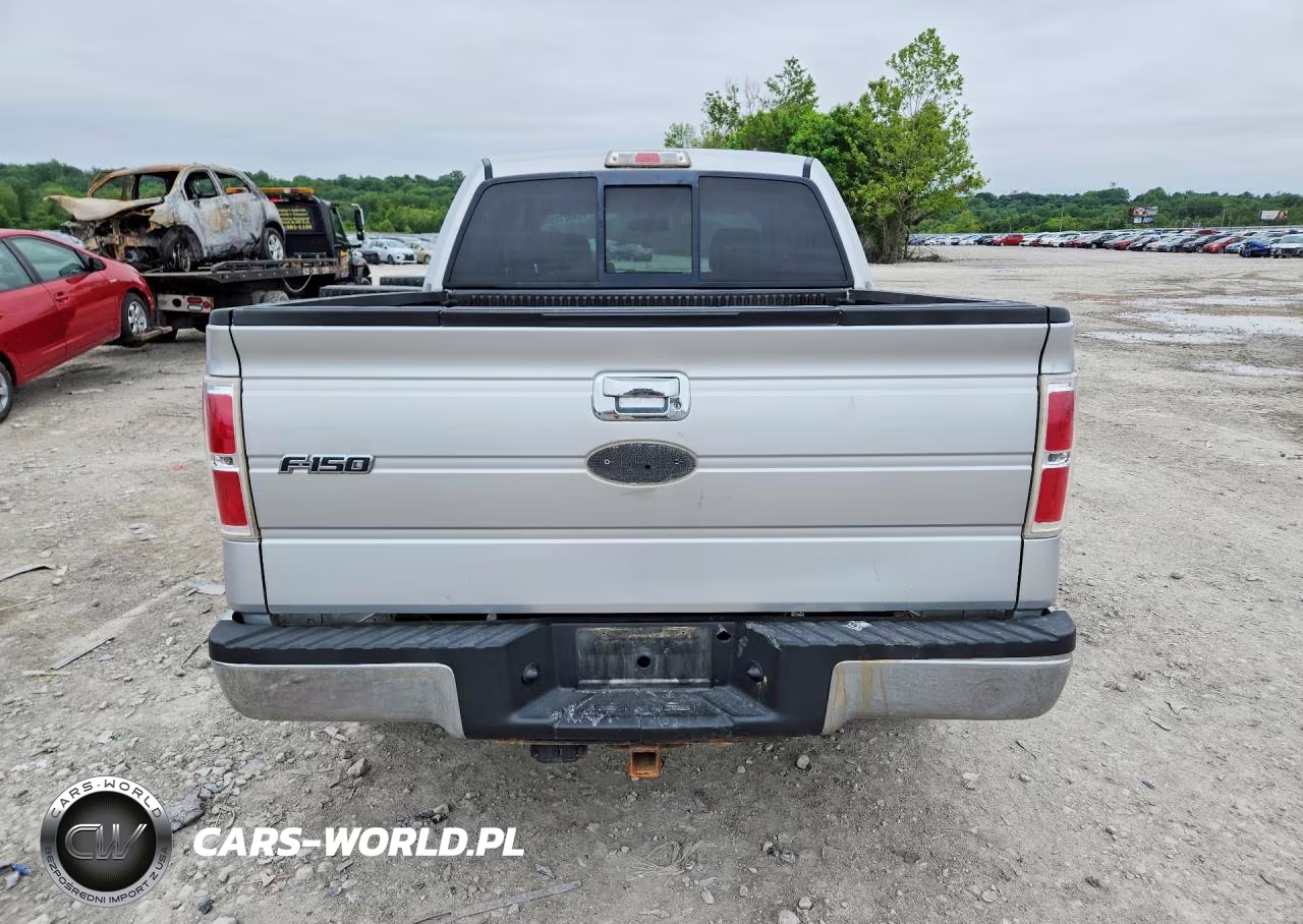2009 Ford F150 Supercrew VIN:1FTPW14V19FB05911 - 6
