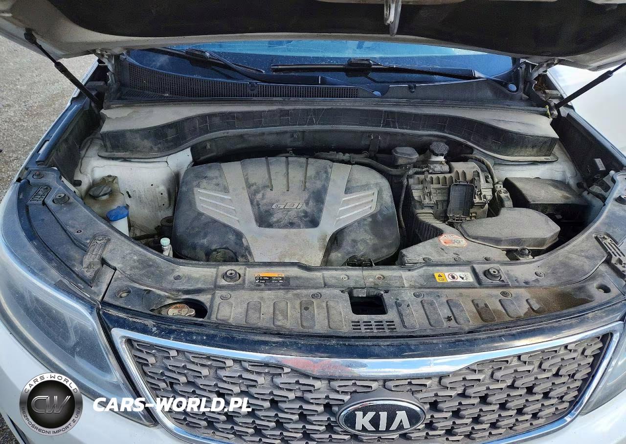 2014 Kia Sorento Sx Limited VIN:5XYKWDA75EG488079 - 11