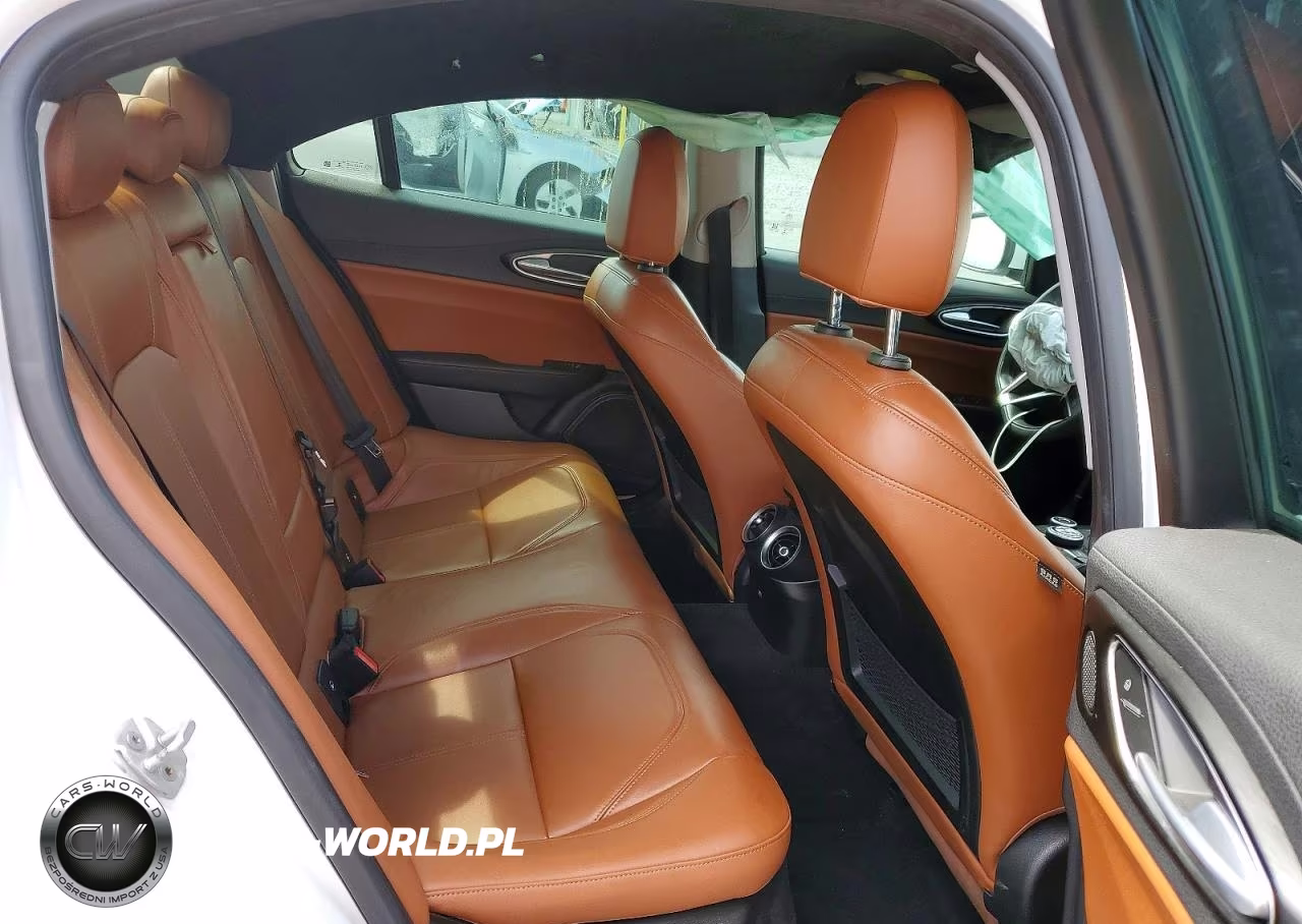 2017 Alfa Romeo Giulia VIN:ZARFAEBN3H7535619 - 10