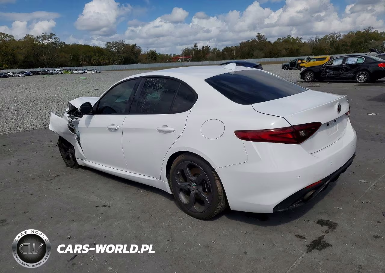 2017 Alfa Romeo Giulia VIN:ZARFAEBN3H7535619 - 2