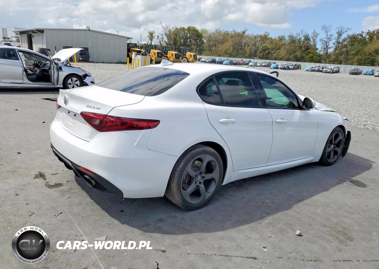 2017 Alfa Romeo Giulia VIN:ZARFAEBN3H7535619 - 3