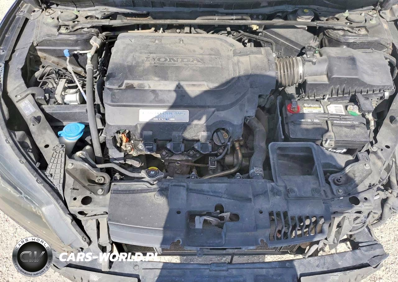 2014 Honda Accord Exl VIN:1HGCR3F80EA012508 - 11