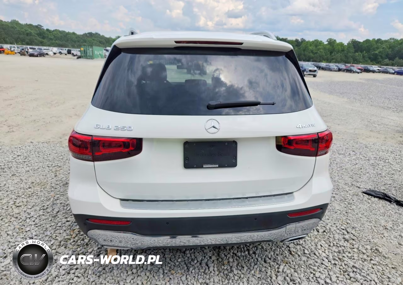 2022 Mercedes-Benz Glb 250 4Matic VIN:W1N4M4HB8NW176116 - 6