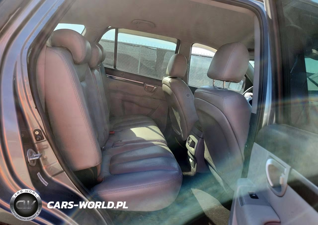 2009 Hyundai Santa Fe Gls VIN:5NMSG13D89H247966 - 10