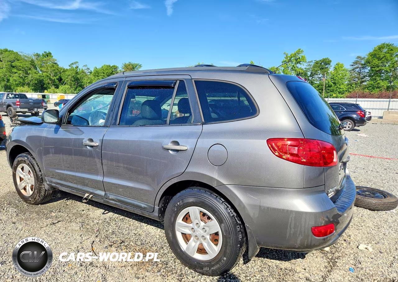 2009 Hyundai Santa Fe Gls VIN:5NMSG13D89H247966 - 2