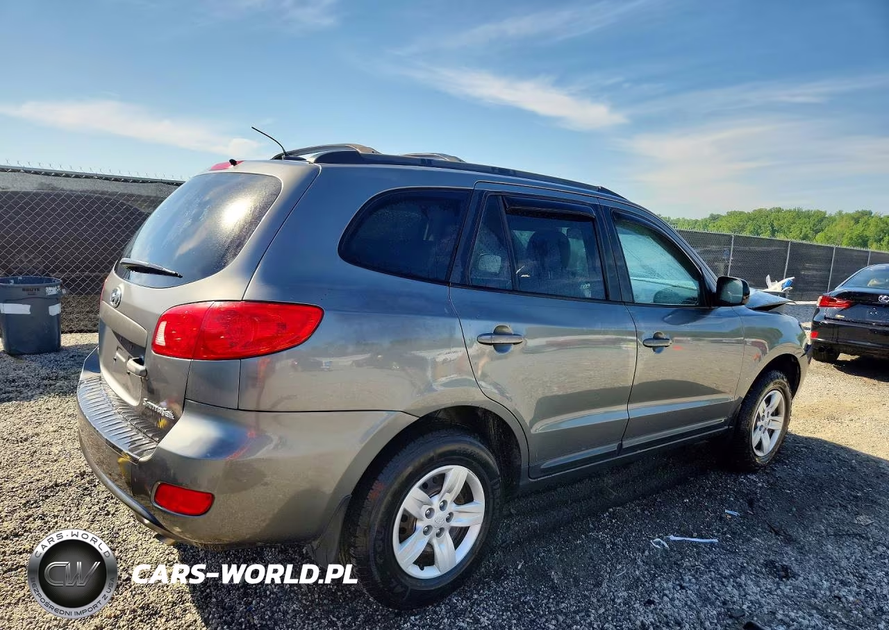 2009 Hyundai Santa Fe Gls VIN:5NMSG13D89H247966 - 3