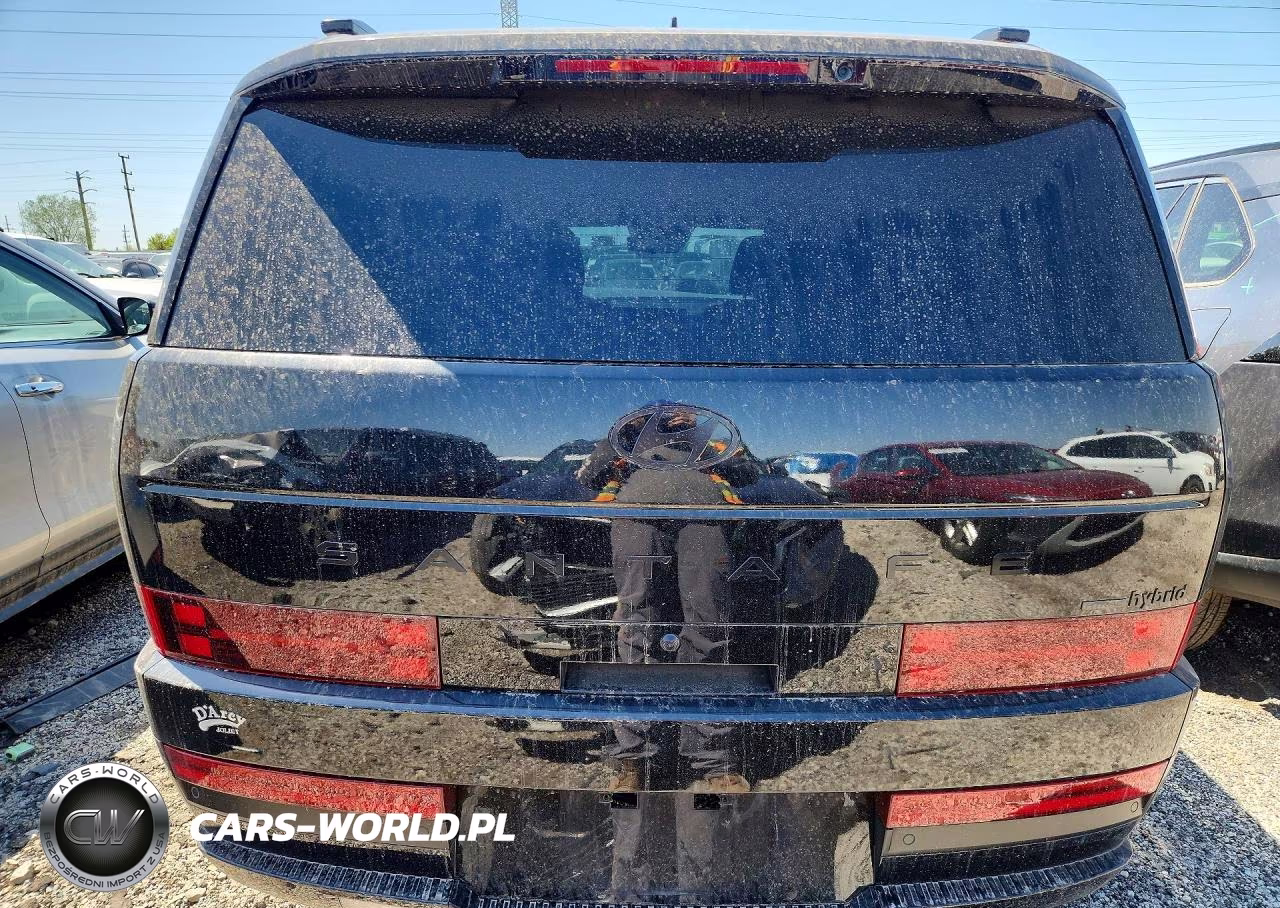 2025 Hyundai Santa Fe Calligraphy VIN:5NMP5DG16SH046229 - 6