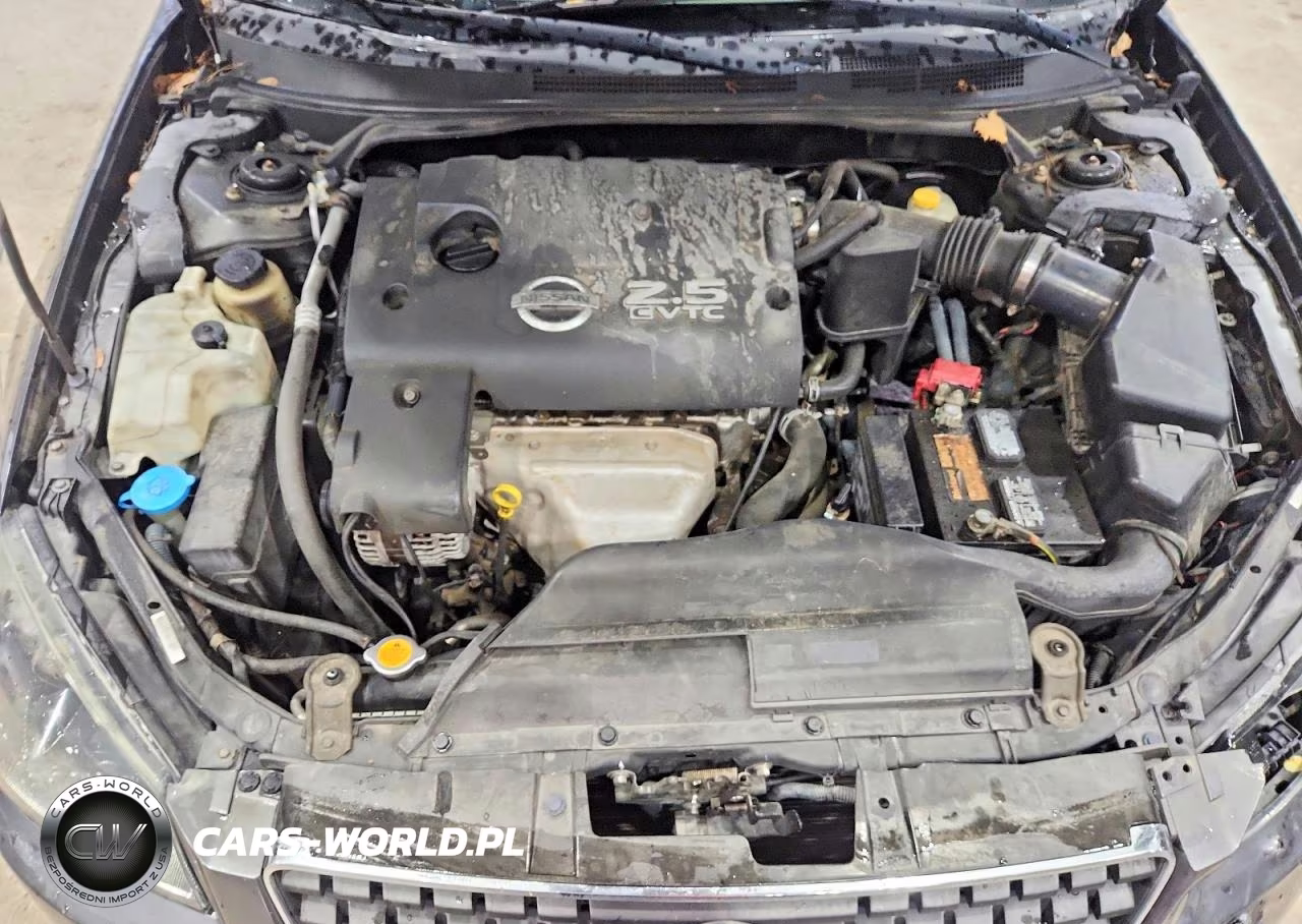 2006 Nissan Altima 2.5 S VIN:1N4AL11D96N384297 - 11