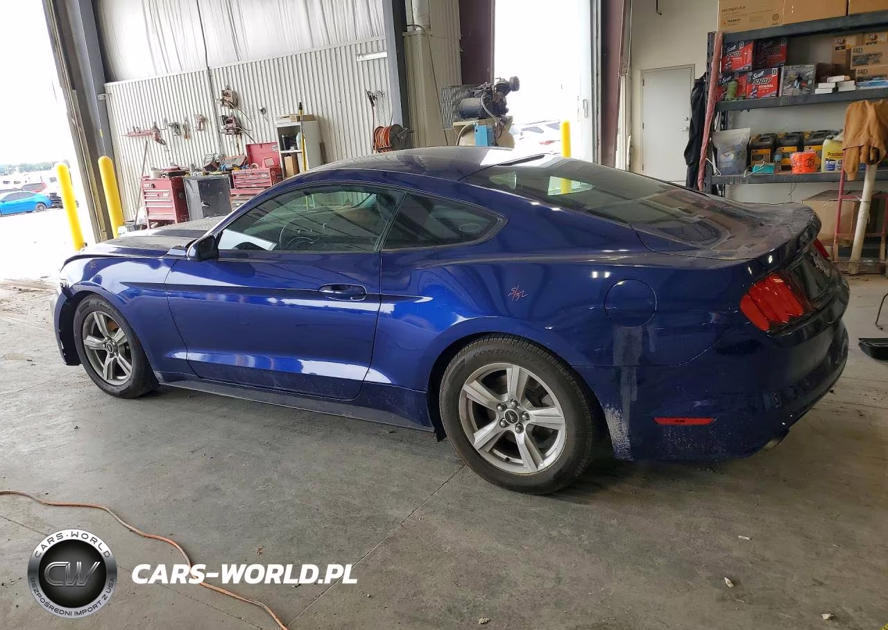 2015 Ford Mustang VIN:1FA6P8AM7F5386181 - 2