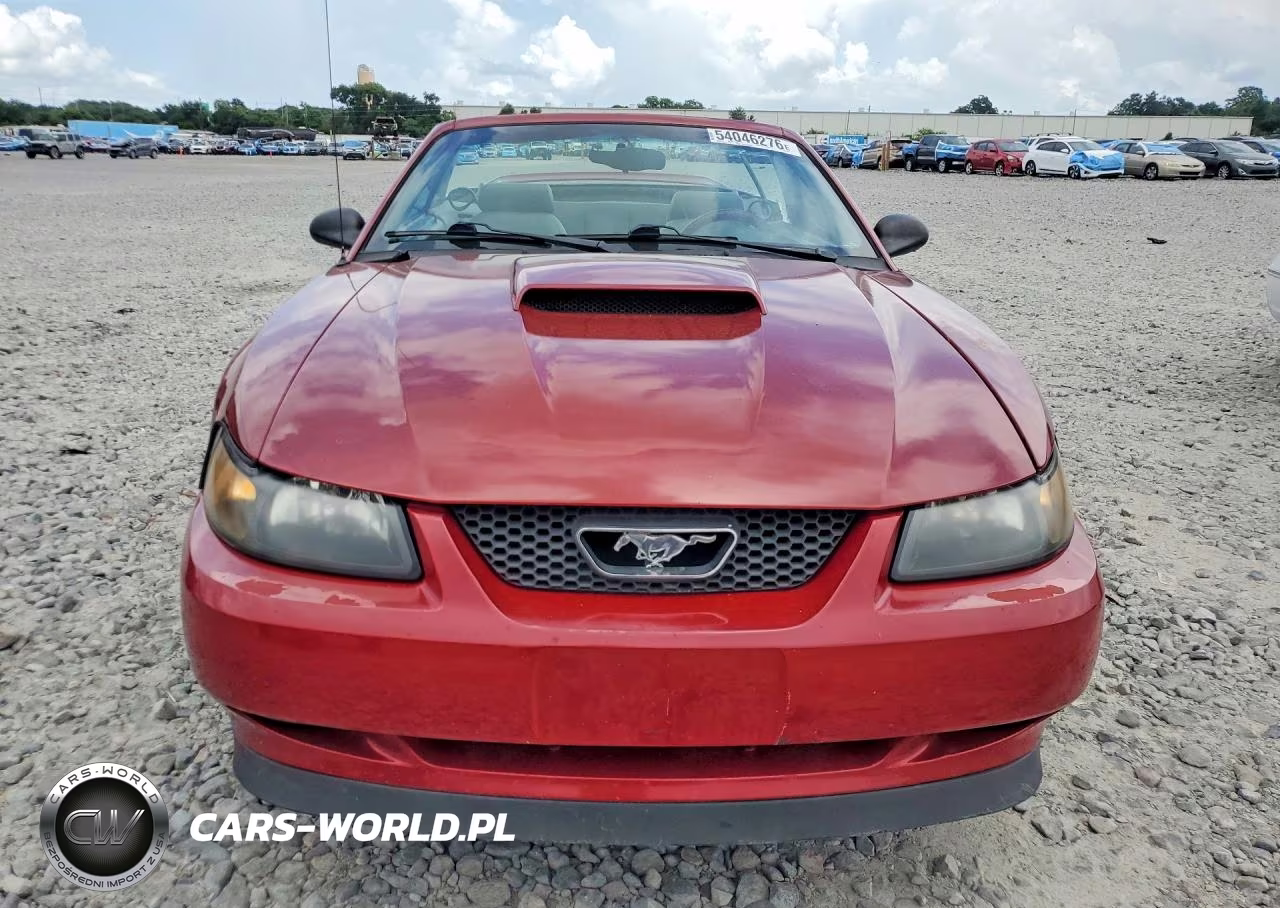 1999 Ford Mustang Gt VIN:1FAFP45X6XF108400 - 5