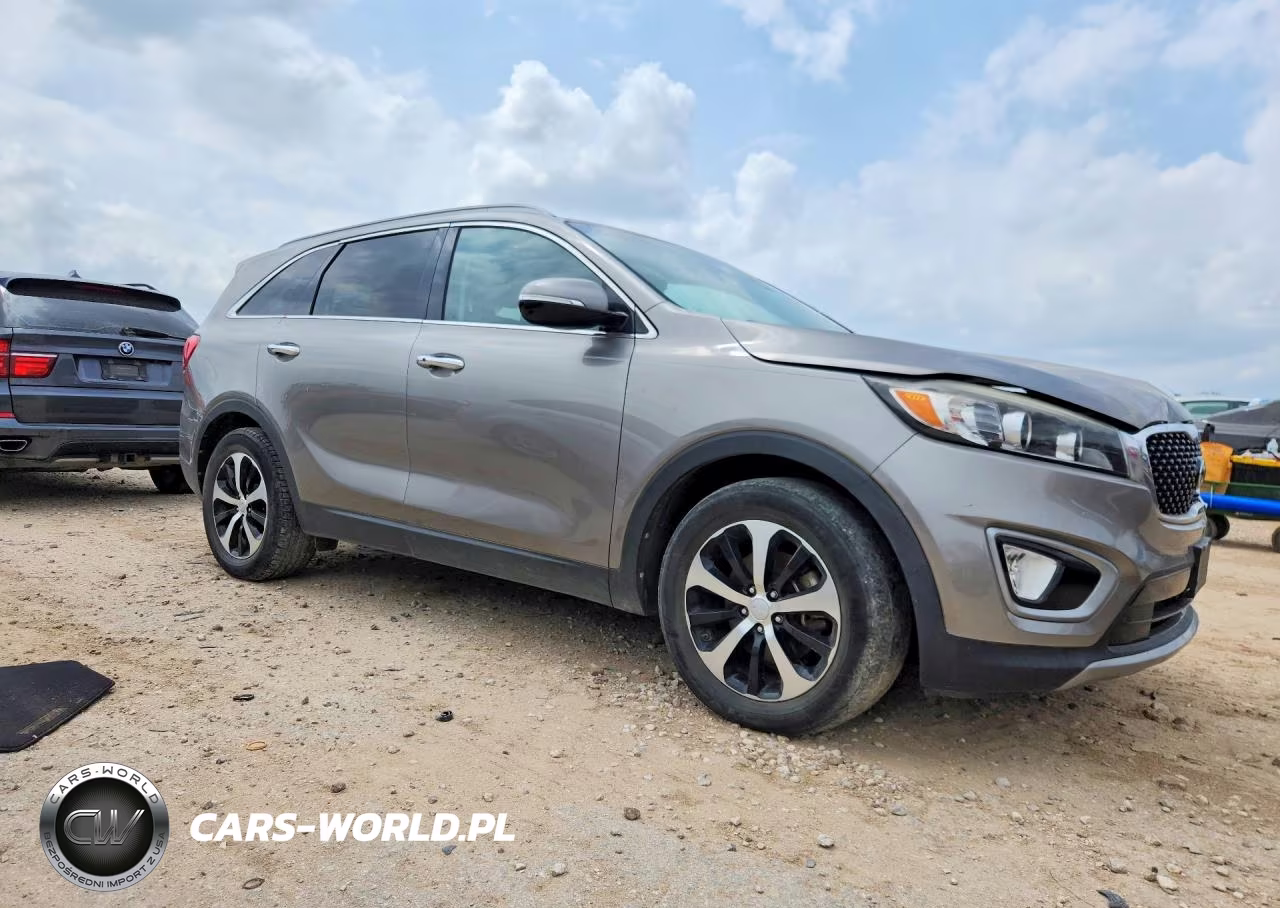 2017 Kia Sorento Ex VIN:5XYPH4A50HG235092 - 4