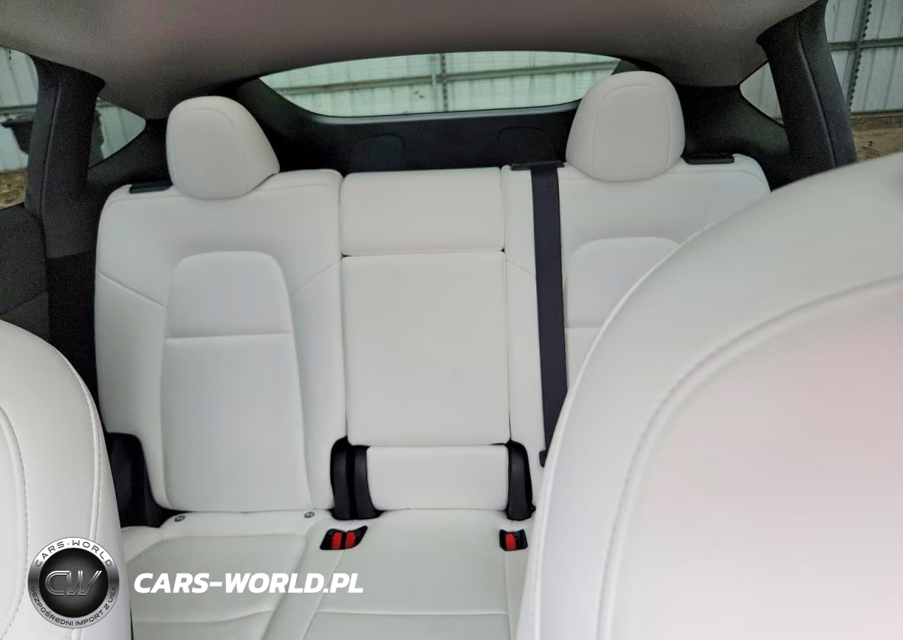 2023 Tesla Model Y VIN:7SAYGDEE7PA160043 - 10