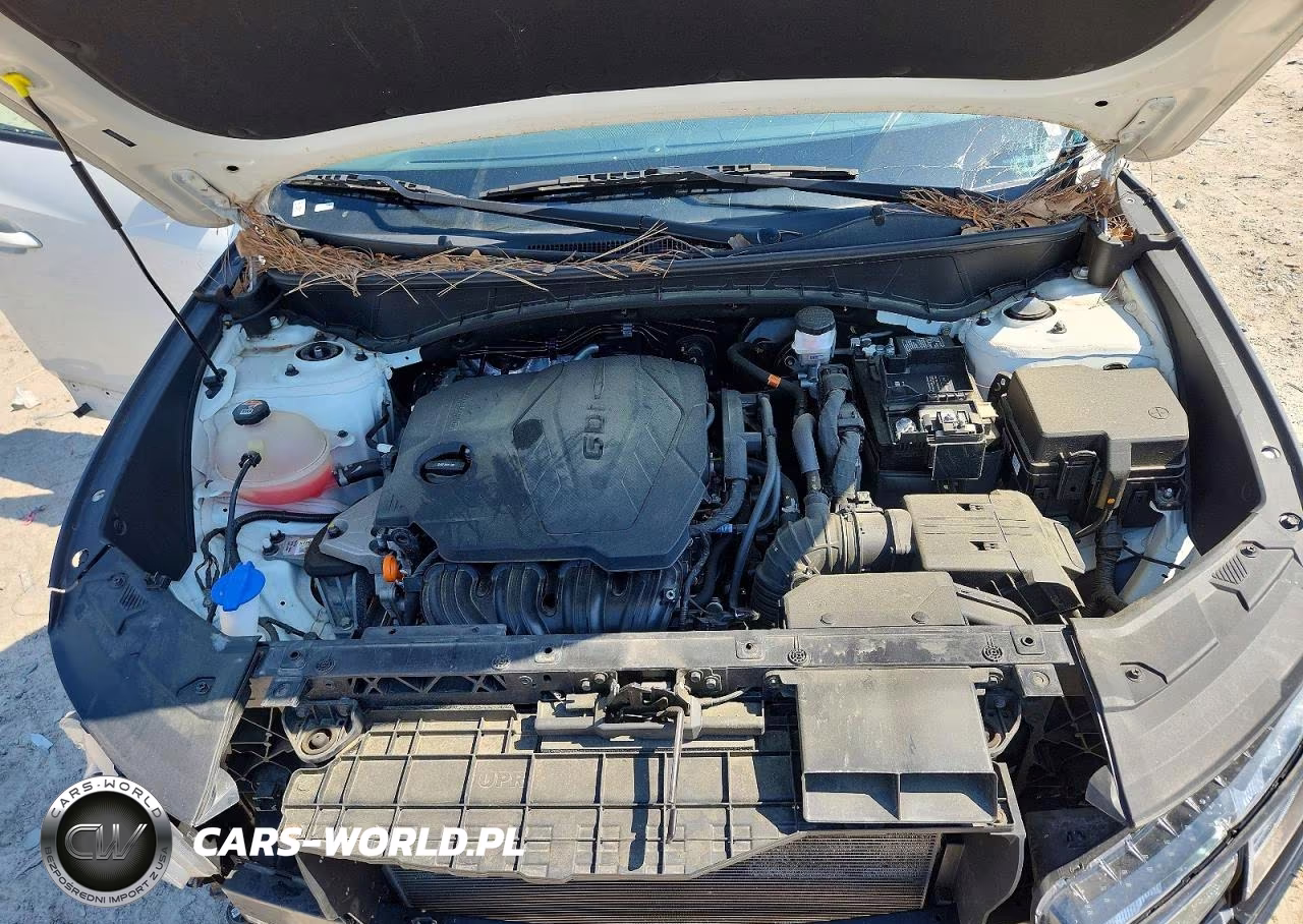 2023 Hyundai Tucson Sel VIN:5NMJB3AE7PH227674 - 12