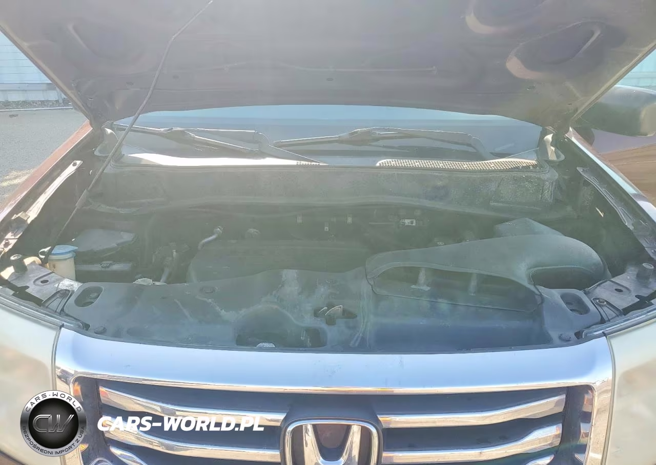 2014 Honda Pilot Lx VIN:5FNYF3H23EB014427 - 12