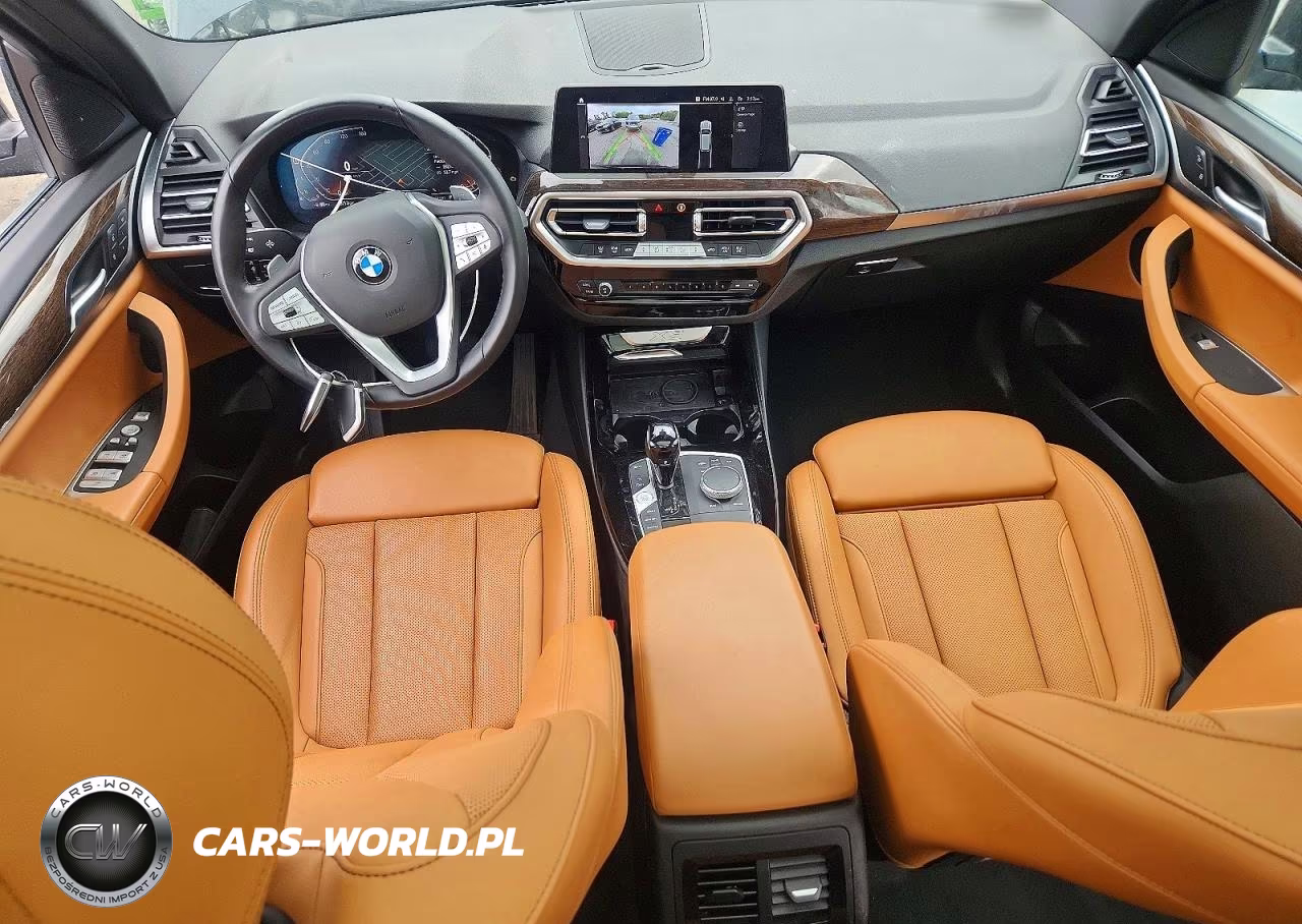2023 BMW X3 xDrive30I VIN:5UX53DP06P9R27843 - 8