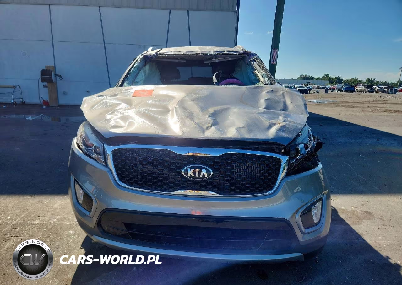 2016 Kia Sorento Ex VIN:5XYPH4A12GG144806 - 5